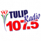 Tulip Radio