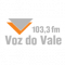 Rádio A Voz do Vale FM