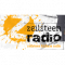 Zeilsteen Radio