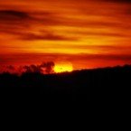 Alternative And Oldies