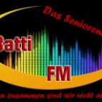 Battifm Dassenioren Radio