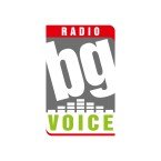 BG VOICE HIT MIX