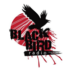 Black Bird Radio