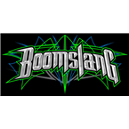 Boomslang radio