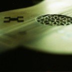 Ein Achtel Lorbeerblatt