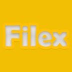 Filex FM