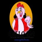 Gallo FM