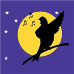 La Noche Del Canario