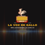 LA VOZ DE GALLO