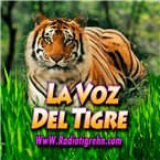 La Voz Del Tigre