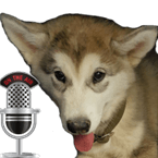 Malamute Radio
