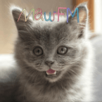 MauFM