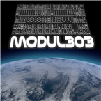 modul 303