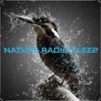 Ouvir NATURE RADIO SLEEP