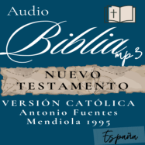 NUEVO TESTAMENTO DE ANTONIO FUENTES DE ESPANA