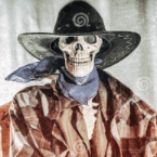 Outlaw Video and Radio