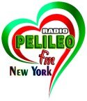 PELILEO RADIO TV