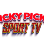 Pickypickyspor Radio