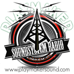 PlaymakerSound System Radio