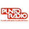 PUNTO RADIO CASCINA