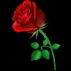 Radio Boleros Inolvidables