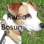 Radio Bosun