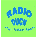 Radio Duck