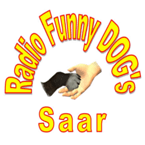 Funny Dogs Saar
