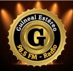 RADIO GUINEAL ESTEREO