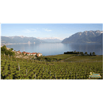 radio-lavaux