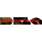 Radio Pasion Granada