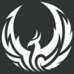 Radio Phoenix System