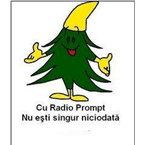 RADIO PROMPT ONLINE