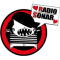 RadioSonar