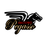 Radio Sonido Pegasso