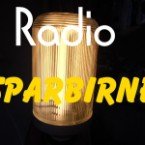 Radio-Sparbirne