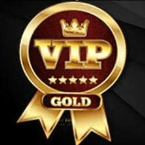 Rádio Vip Gold Space