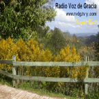 Radio Voz de Gracia / Puerto Rico