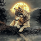 Radio-wölfchen-hits