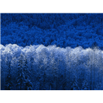 Radiogeloratrenggalek