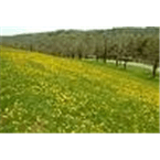 sadhu sunder sing Punjabi Fm