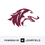 Southern Illinois Softball