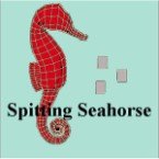 Spitting Seahorse