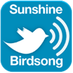 Sunshine Birdsong
