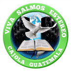 Viva Salmos Estereo