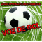 Voz de Gol