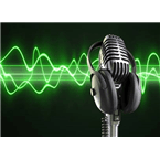 VSPro RADIO Wallis CH