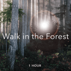 WALK IN THE FOREST