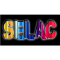 SALSA EN LA CALLE logo