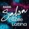 Salsa logo